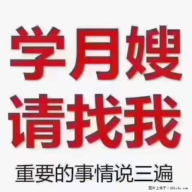 为什么要学习月嫂,育婴师? - 其他广告 - 广告专区 - 辽源分类信息 - 辽源28生活网 liaoyuan.28life.com