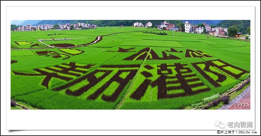 【春天,广西桂林灌阳县向您发出邀请!】开篇 - 游山玩水 - 辽源生活社区 - 辽源28生活网 liaoyuan.28life.com