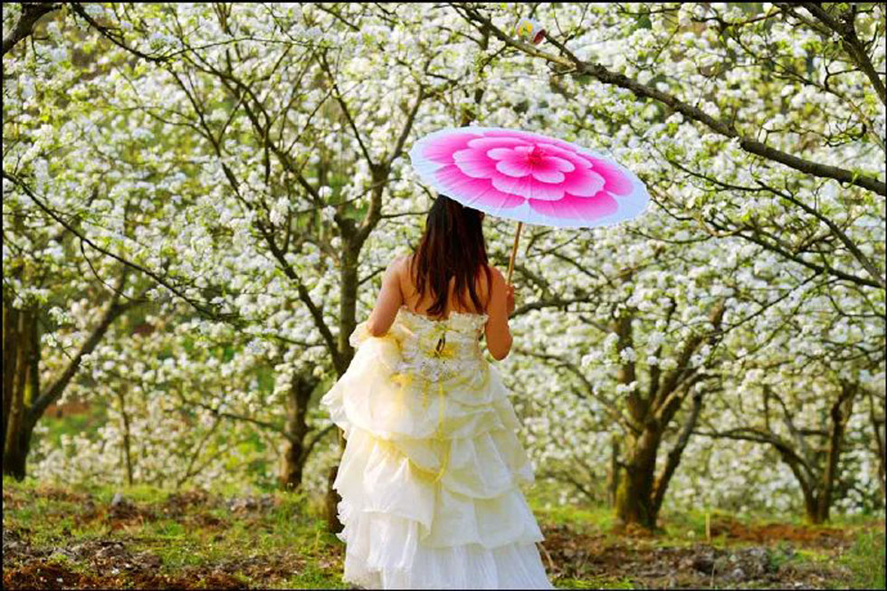 【春天，广西桂林灌阳县向您发出邀请！】我们在灌阳看梨花 - 游山玩水 - 辽源生活社区 - 辽源28生活网 liaoyuan.28life.com