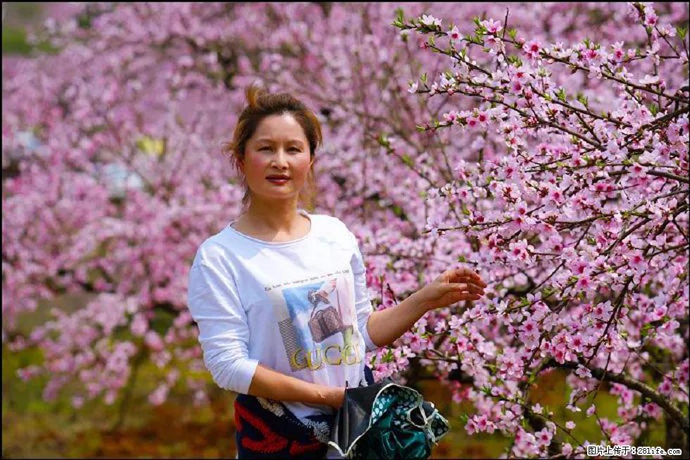 【春天,广西桂林灌阳县向您发出邀请!】官庄村有个醉美的桃花园 - 游山玩水 - 辽源生活社区 - 辽源28生活网 liaoyuan.28life.com