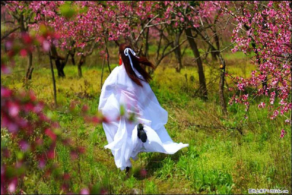 【春天,广西桂林灌阳县向您发出邀请!】官庄村有个醉美的桃花园 - 游山玩水 - 辽源生活社区 - 辽源28生活网 liaoyuan.28life.com