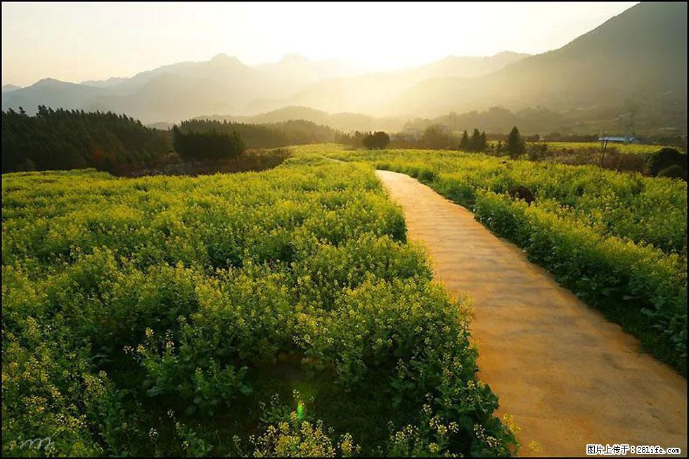【春天，广西桂林灌阳县向您发出邀请！】长坪村油菜盛情花开 - 游山玩水 - 辽源生活社区 - 辽源28生活网 liaoyuan.28life.com