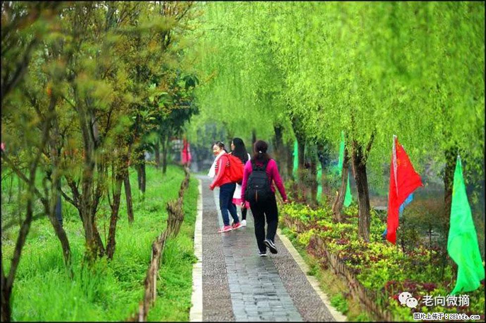 【春天,广西桂林灌阳县向您发出邀请!】江口老街又逢春 - 游山玩水 - 辽源生活社区 - 辽源28生活网 liaoyuan.28life.com