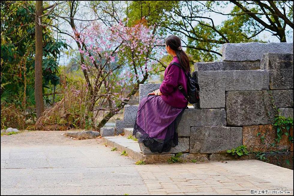 【春天,广西桂林灌阳县向您发出邀请!】江口老街又逢春 - 游山玩水 - 辽源生活社区 - 辽源28生活网 liaoyuan.28life.com