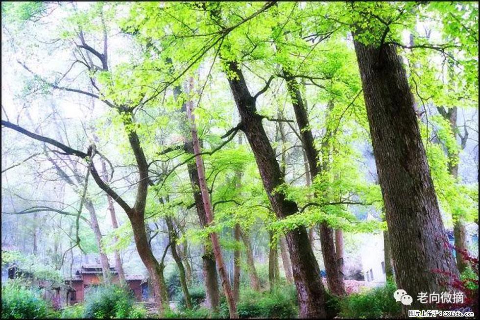 【春天，广西桂林灌阳县向您发出邀请！】在小龙村与春天约会 - 游山玩水 - 辽源生活社区 - 辽源28生活网 liaoyuan.28life.com