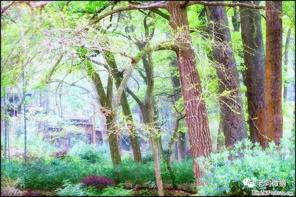 【春天，广西桂林灌阳县向您发出邀请！】在小龙村与春天约会 - 游山玩水 - 辽源生活社区 - 辽源28生活网 liaoyuan.28life.com