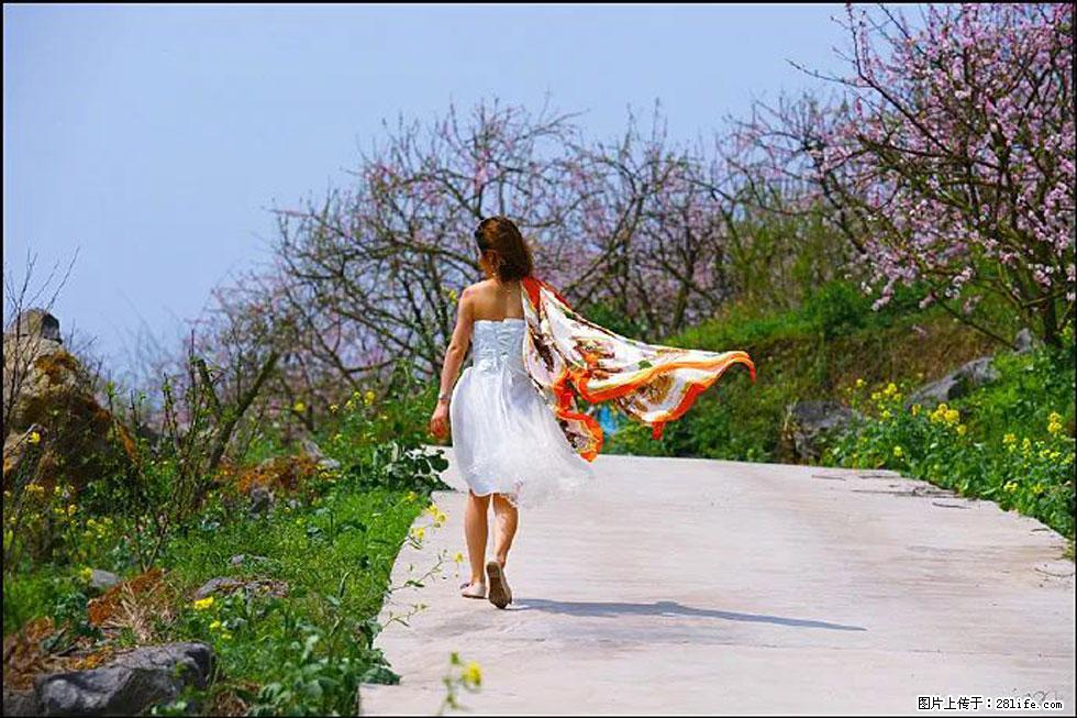 【春天，广西桂林灌阳县向您发出邀请！】望月岭上桃花开 - 游山玩水 - 辽源生活社区 - 辽源28生活网 liaoyuan.28life.com