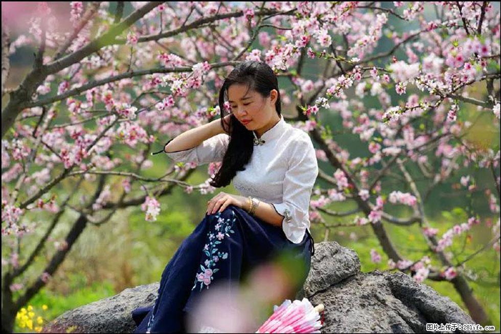 【春天，广西桂林灌阳县向您发出邀请！】望月岭上桃花开 - 游山玩水 - 辽源生活社区 - 辽源28生活网 liaoyuan.28life.com