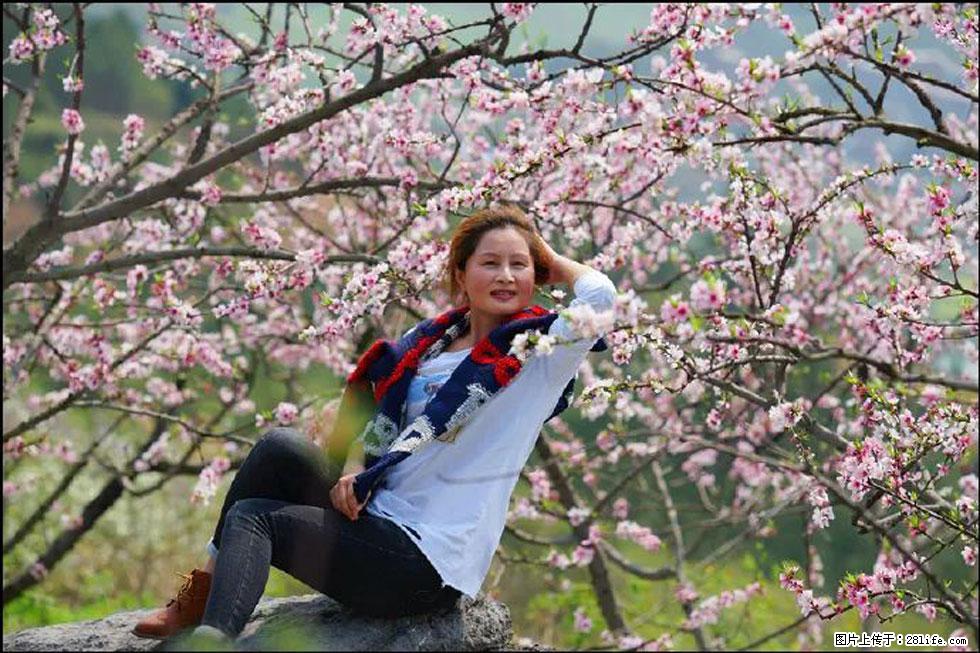 【春天，广西桂林灌阳县向您发出邀请！】望月岭上桃花开 - 游山玩水 - 辽源生活社区 - 辽源28生活网 liaoyuan.28life.com