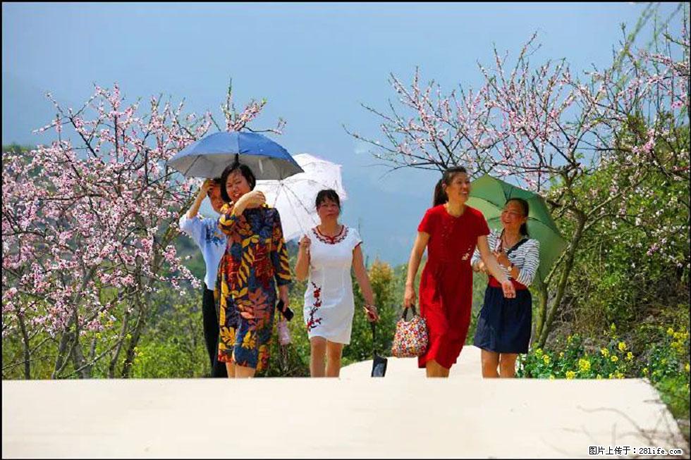 【春天，广西桂林灌阳县向您发出邀请！】望月岭上桃花开 - 游山玩水 - 辽源生活社区 - 辽源28生活网 liaoyuan.28life.com