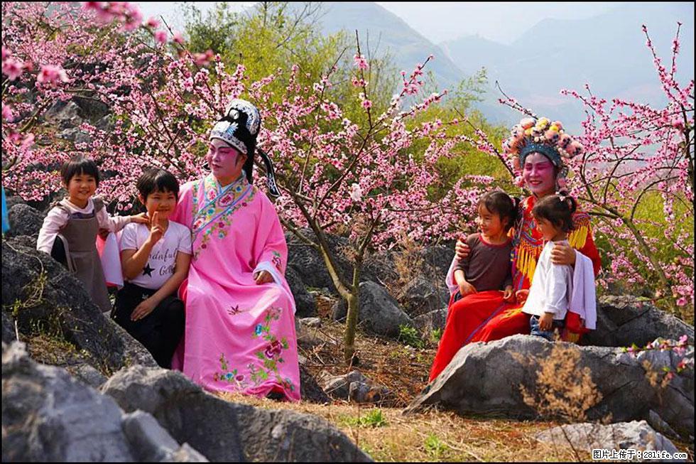 【春天，广西桂林灌阳县向您发出邀请！】望月岭上桃花开 - 游山玩水 - 辽源生活社区 - 辽源28生活网 liaoyuan.28life.com