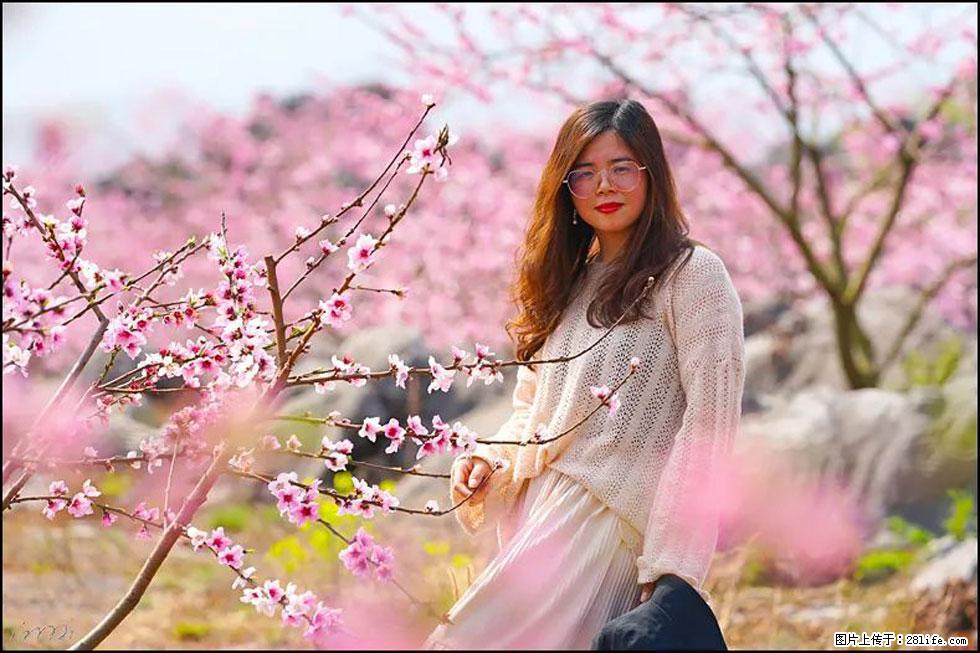 【春天，广西桂林灌阳县向您发出邀请！】望月岭上桃花开 - 游山玩水 - 辽源生活社区 - 辽源28生活网 liaoyuan.28life.com