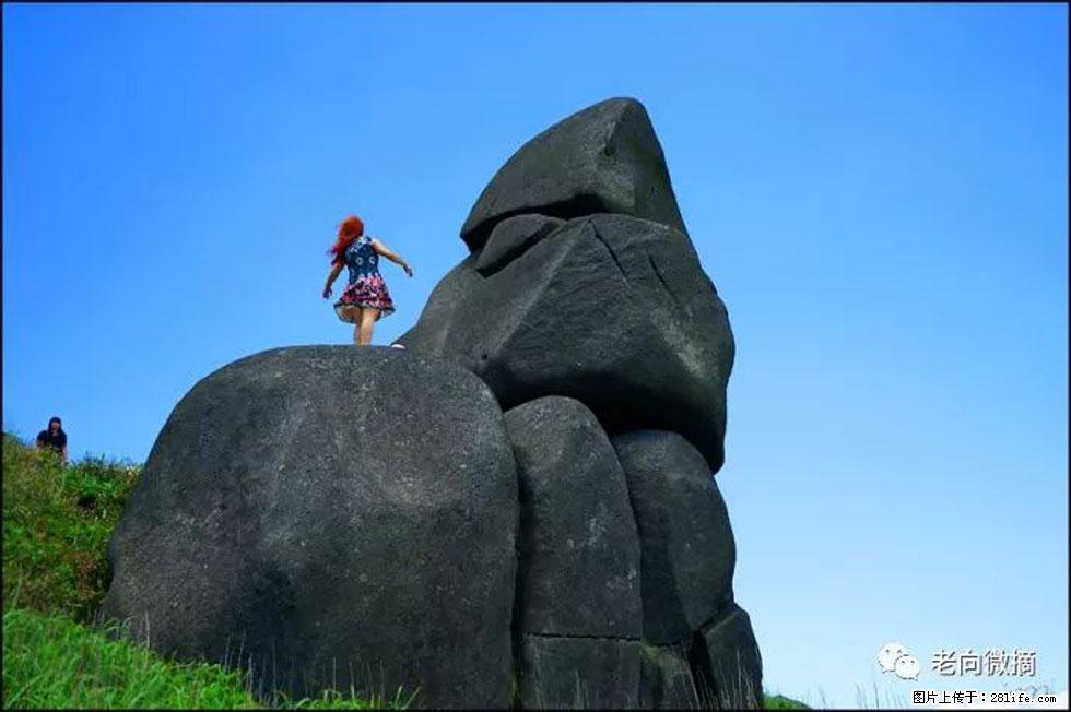 【春天,广西桂林灌阳县向您发出邀请!】宝盖山上映山红 - 游山玩水 - 辽源生活社区 - 辽源28生活网 liaoyuan.28life.com