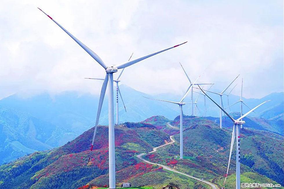 【春天,广西桂林灌阳县向您发出邀请!】春木界上映山红 - 游山玩水 - 辽源生活社区 - 辽源28生活网 liaoyuan.28life.com