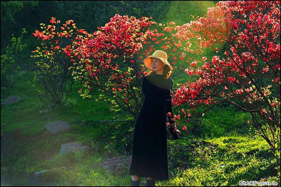 【春天,广西桂林灌阳县向您发出邀请!】春木界上映山红 - 游山玩水 - 辽源生活社区 - 辽源28生活网 liaoyuan.28life.com