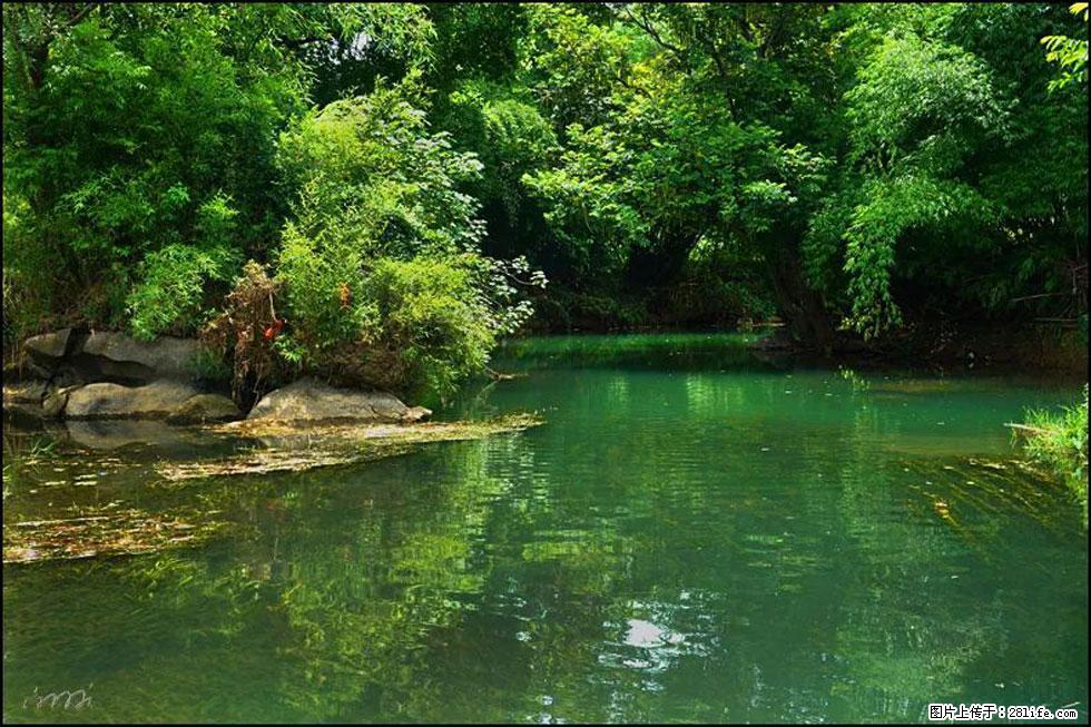 【春天,广西桂林灌阳县向您发出邀请!】如梦似幻莲溪庐 - 游山玩水 - 辽源生活社区 - 辽源28生活网 liaoyuan.28life.com