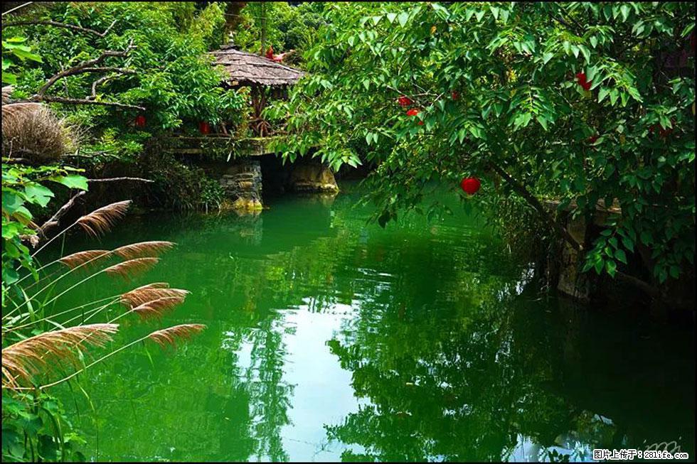 【春天,广西桂林灌阳县向您发出邀请!】如梦似幻莲溪庐 - 游山玩水 - 辽源生活社区 - 辽源28生活网 liaoyuan.28life.com