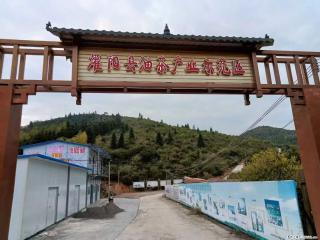 【灌阳县油茶产业示范区】一个有着充实的精神生活的人，对待身外之物自会有一种淡泊的态度 - 辽源28生活网 liaoyuan.28life.com