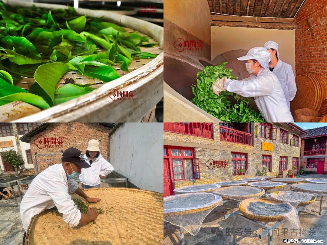 时间果百年古树龙珠普洱生茶 - 购物交流 - 辽源生活社区 - 辽源28生活网 liaoyuan.28life.com