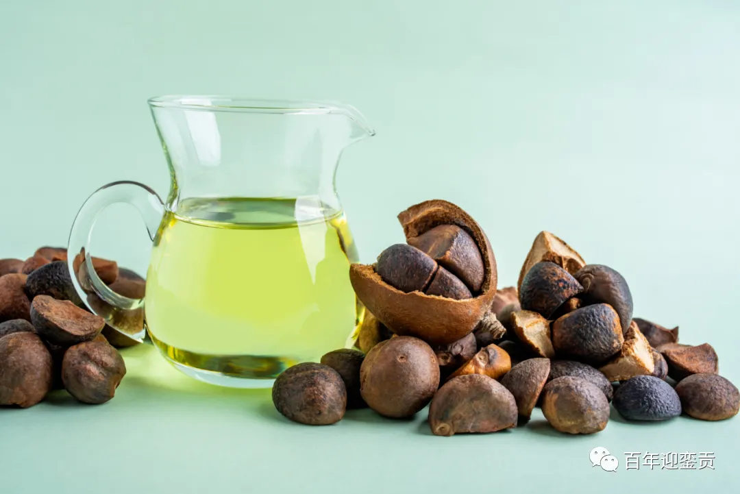 世界没有真相,只有认知,最好的食用油是中国的山茶油! - 辽源生活资讯 - 辽源28生活网 liaoyuan.28life.com