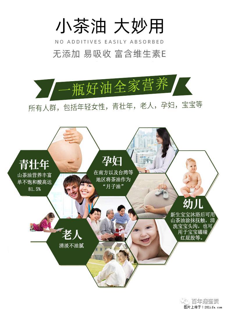 世界没有真相,只有认知,最好的食用油是中国的山茶油! - 辽源生活资讯 - 辽源28生活网 liaoyuan.28life.com