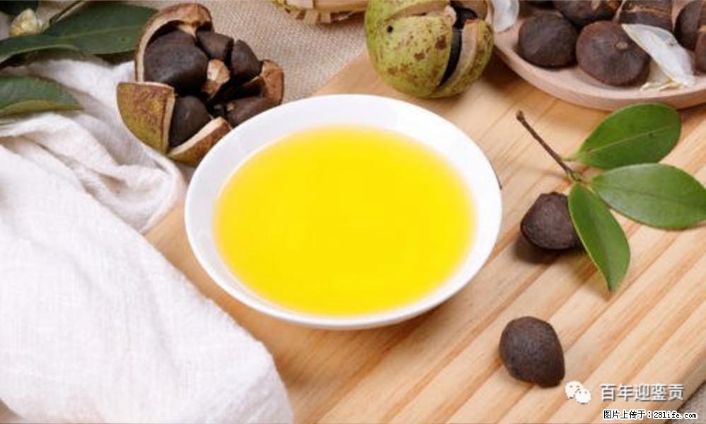 世界没有真相,只有认知,最好的食用油是中国的山茶油! - 辽源生活资讯 - 辽源28生活网 liaoyuan.28life.com