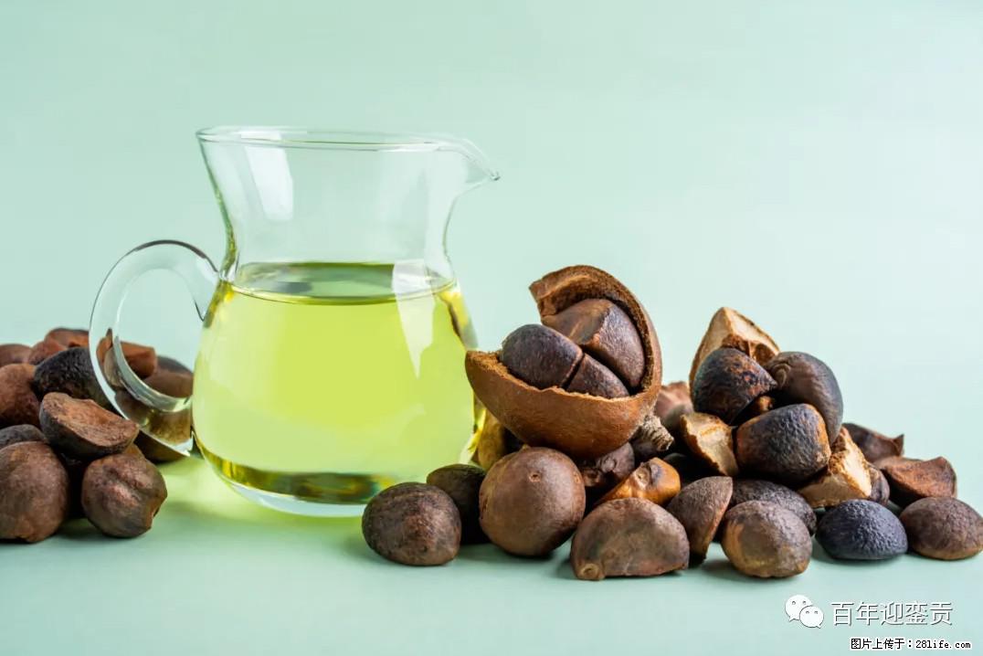 世界没有真相,只有认知,最好的食用油是中国的山茶油! - 辽源生活资讯 - 辽源28生活网 liaoyuan.28life.com