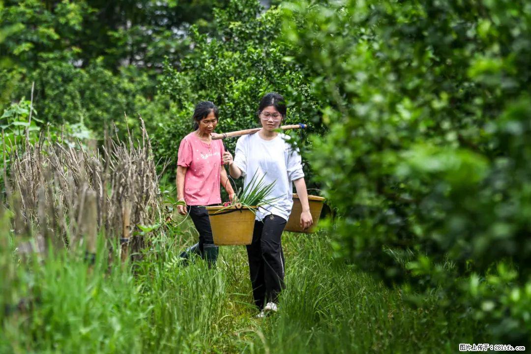 全网追的“扁担女孩”,找了一份暑假工,时薪12元 - 辽源生活资讯 - 辽源28生活网 liaoyuan.28life.com