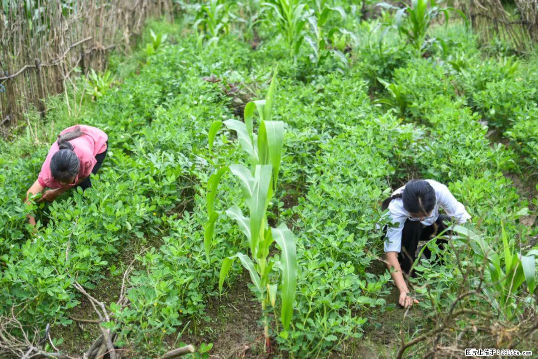 全网追的“扁担女孩”,找了一份暑假工,时薪12元 - 辽源生活资讯 - 辽源28生活网 liaoyuan.28life.com
