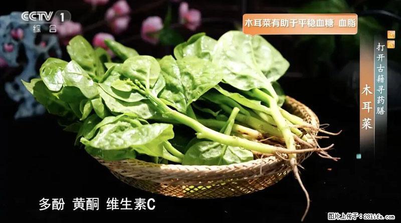 比牛奶补钙还厉害！凉血解毒、稳血糖...这菜冬天必吃，很多人却当草 - 辽源生活资讯 - 辽源28生活网 liaoyuan.28life.com