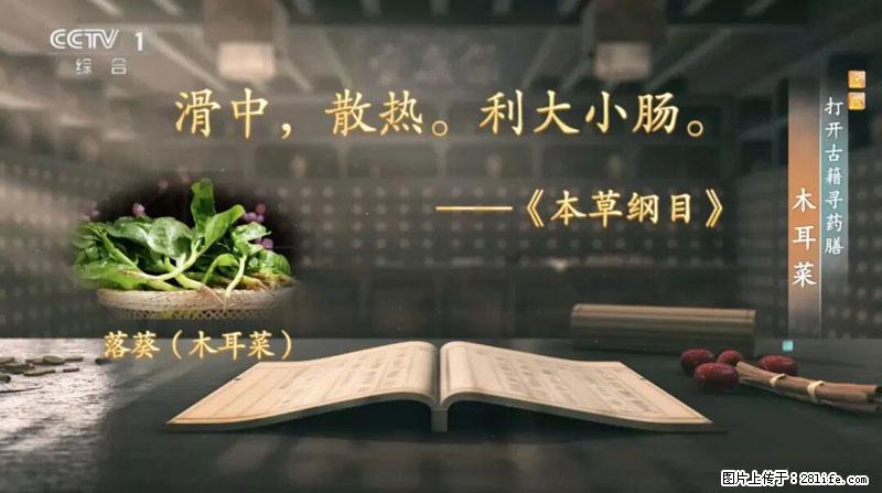 比牛奶补钙还厉害！凉血解毒、稳血糖...这菜冬天必吃，很多人却当草 - 辽源生活资讯 - 辽源28生活网 liaoyuan.28life.com