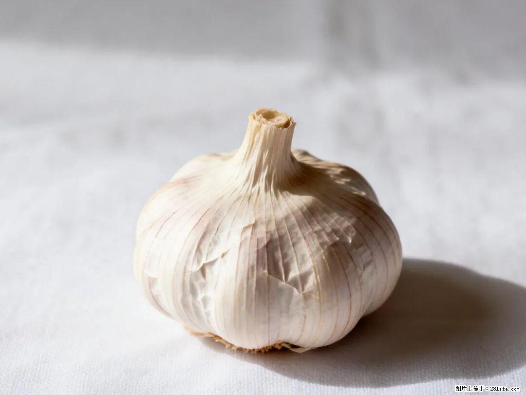 关于大蒜，除了“天然抗生素”，这4个谣言更该警惕! - 辽源生活资讯 - 辽源28生活网 liaoyuan.28life.com